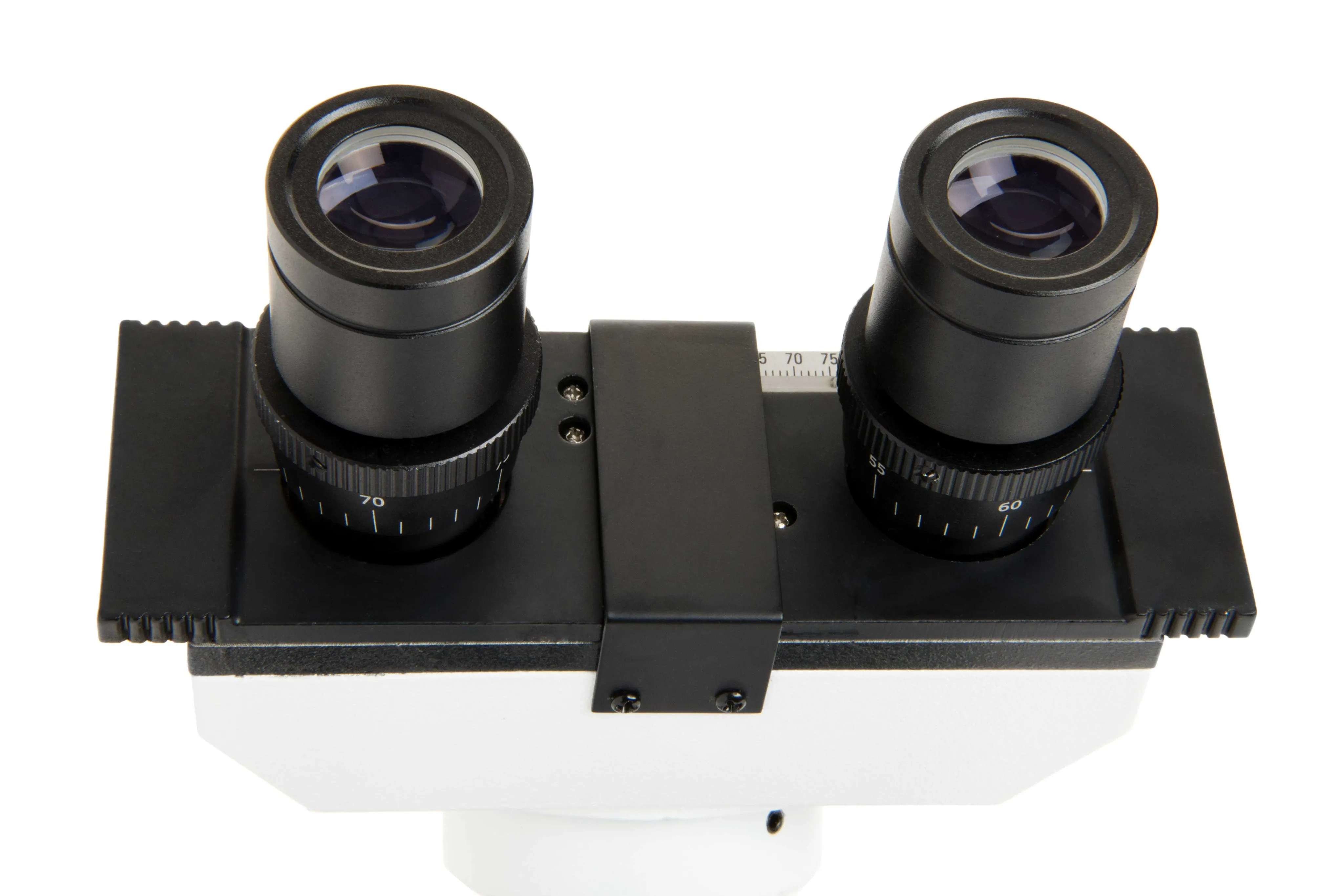 Celestron Labs CB2000CF Compound Microscope